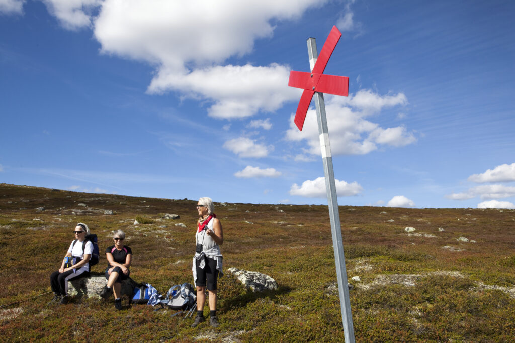 The new Policy Brief offers insights from the Nordic countries on how governance can drive the development of integrated healthcare and care services using distance-spanning solutions.